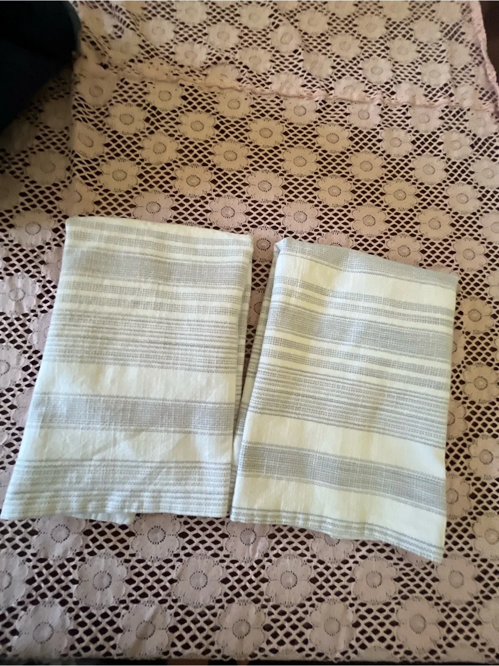 Pottery Barn pillow sham pair